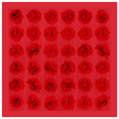 nazar-rose--1_500